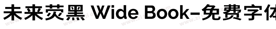 未来荧黑 Wide Book字体转换